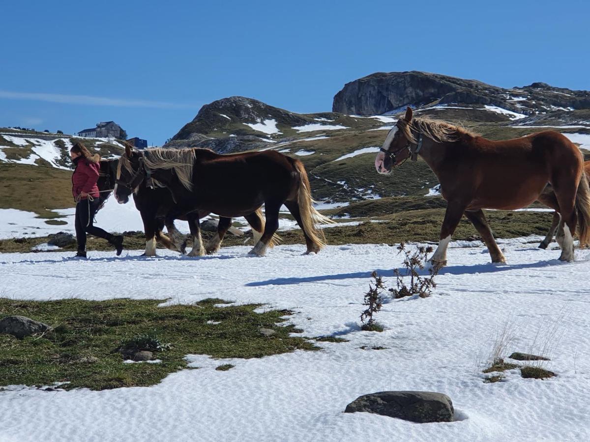 Auberge La Caverne Laruns Εξωτερικό φωτογραφία